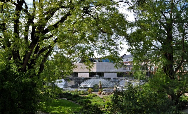 Das Viktoriahaus im Botanischen Garten der Universität Basel.