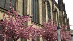 Aussenansicht der Elisabethenkirche im Frühling.