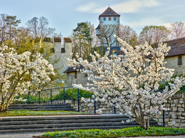 Das St. Alban-Tor ist eines der drei noch erhaltenen mittelalterlichen Stadttore der Stadt Basel. Zusammen mit dem St. Johanns-Tor und dem Spalentor markiert es bis heute die einstige Befestigung der Stadt. // The three surviving medieval entrance gates - Spalentor, St. Johanns-Tor and St. Alban-Tor - continue to mark the city's former fortifications.