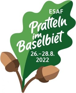 Logo ESAF