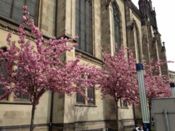 Aussenansicht der Elisabethenkirche im Frühling.