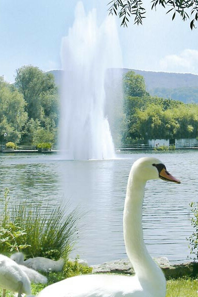 Das Restaurant Seegarten im Park im Grünen Münchenstein.